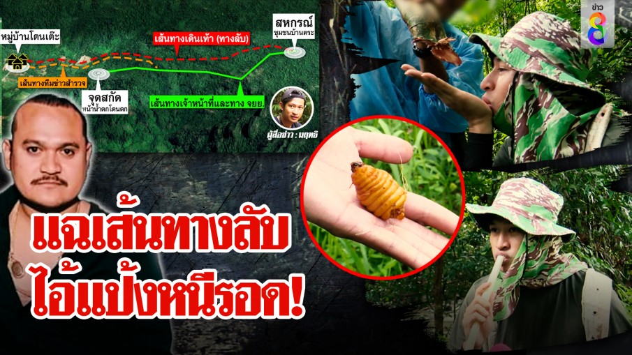 เปิดเส้นทางลับที่แรก! เส้นทางแป้งใช้หนีรอด อึ้งต้นเต่าร้างพลิกฟื้นชีวิต