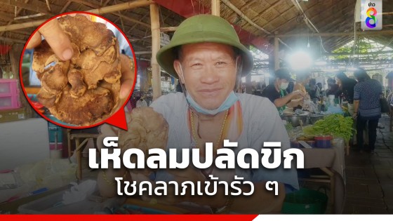 ฮือฮา ! เห็ดลมปลัดขิก พ่อค้ายันค้าขายดีเว่อร์ โชคลาภเข้ารัว ๆ   