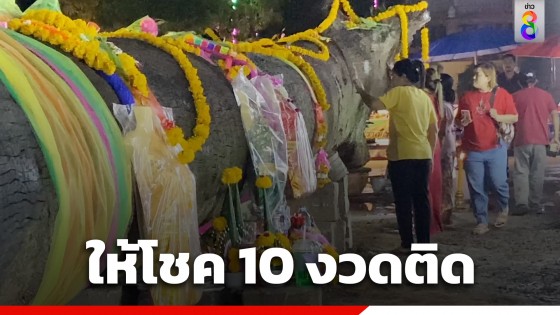 โค้งสุดท้าย! แห่ส่องเลขต้นตะเคียน 100 ปี ให้โชค 10 งวดติด