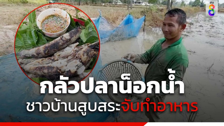 ทำถึง! อากาศร้อนกลัวปลาน็อกน้ำ ชาวบ้านสูบสระจับทำอาหารกลางทุ่งนา