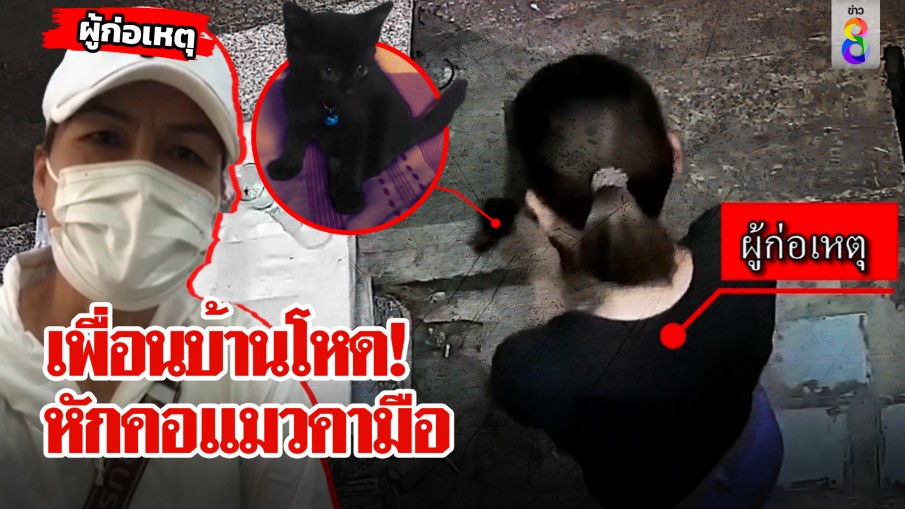 เพื่อนบ้านโหดอ้างเมา! จับแมวหักคอตายคามือ