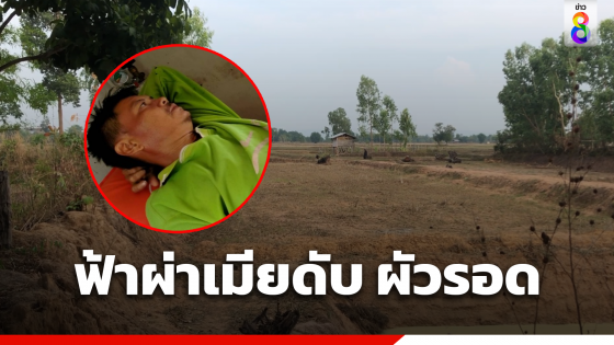 ฟ้าผ่าเมียดับ ผัวรอดหวุดหวิดพร้อมวัว 3 ตัว