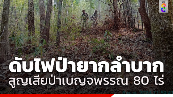 เปิดภาพความยากลำบากของเจ้าหน้าที่ดับไฟป่า พบเหตุมาจากลักลอบล่าสัตว์...