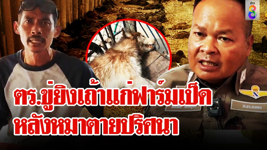 ตร. ทาสหมาไซ ยัวะหมาตายข้างรั้ว ปืนขู่ยิงหัวเถ้าแก่ฟาร์มเป็ด