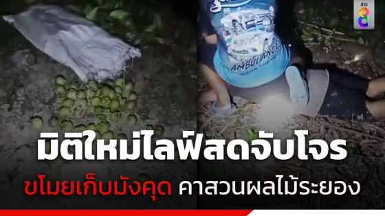 ระทึก! เจ้าของสวนผลไม้...