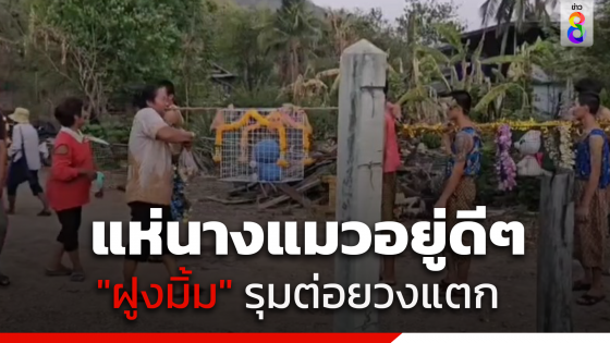 วงแตก! ชาวบ้านตั้งขบวนแห่นางแมวขอฝน แต่สุดท้ายวิ่งกระเจิง...