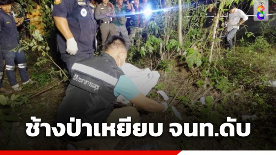 สลด! "เจ้าสีดอโหนก" ช้างป่าตกมัน...