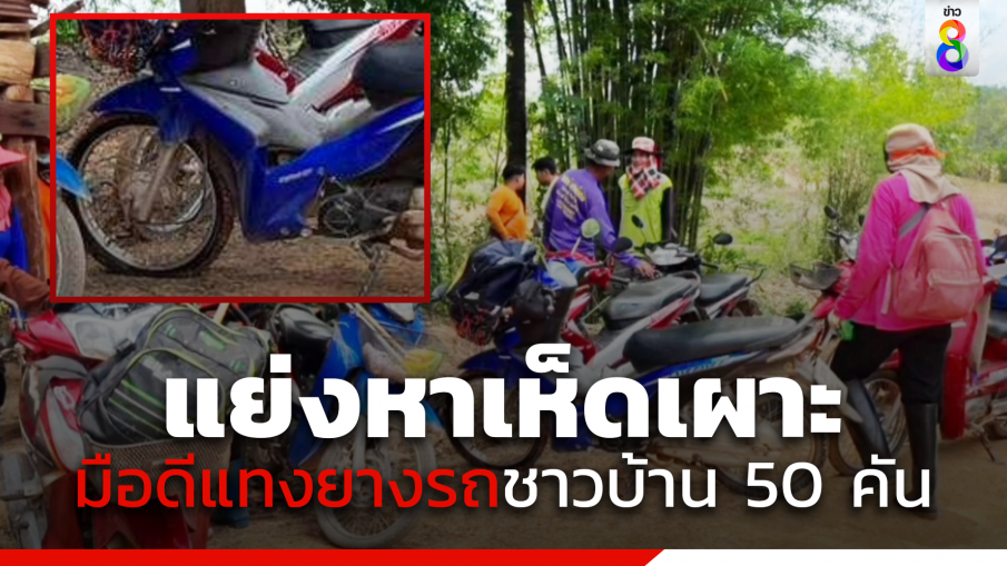 แย่งหาเห็ดเผาะ มือดีแทงยางรถชาวบ้าน 50 คัน