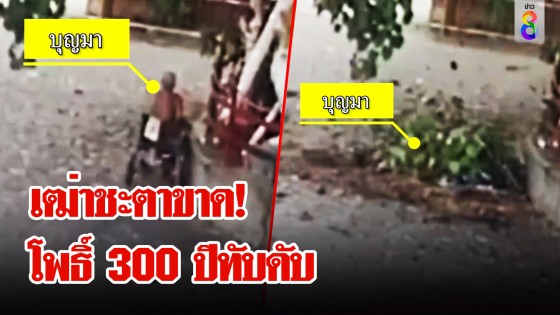 วินาทีสยอง! ต้นโพธิ์ 300 ปีหักทับพ่อเฒ่าดับคาวีลแชร์