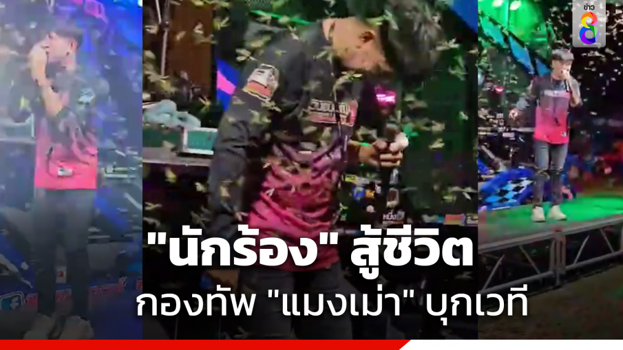 รู้แล้วนักร้องในคลิปร้องเพลงไปสู้กับแมงเม่าไปด้วยว่อนเน็ต เจ้าตัวรับได้กินไปบ้างระหว่างร้องเพลง เพราะจำเป็น