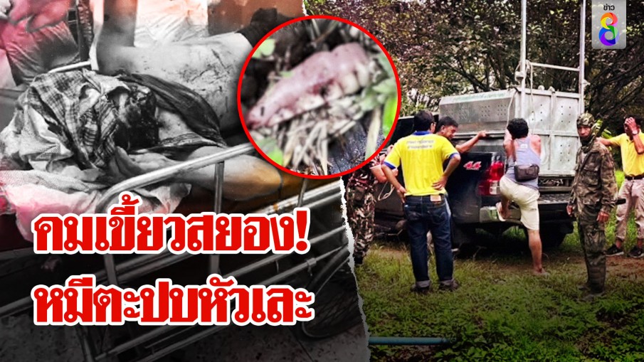 ลุงนั่งตัดหญ้าหมีควายตะปบลูกตาหลุด