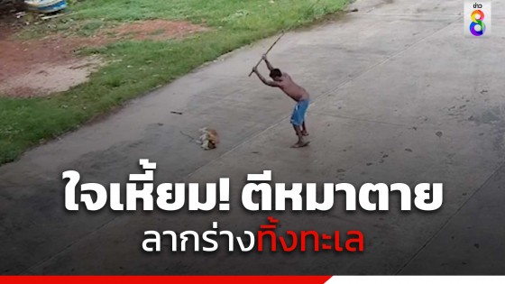 คนใจเหี้ยม! ตีหมาตาย ก่อนลากร่างทิ้งทะเล