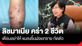 สธ.เตือน ระวัง! "โรคลิชมาเนีย" แมลงริ้นฝอยทรายกัด หลังพบตายอีก...