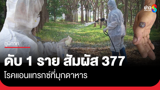 ผู้ป่วยดับ 1 สัมผัส 377 โรคแอนแทรกซ์ที่มุกดาหาร 