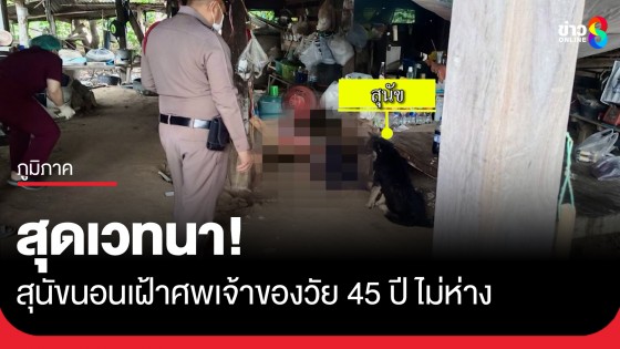 สุดเวทนา! สุนัขนอนเฝ้าศพหนุ่มสุรินทร์ วัย 45 ปี เสียชีวิตคาบ้าน ห่วงไม่ให้คนเข้าใกล้