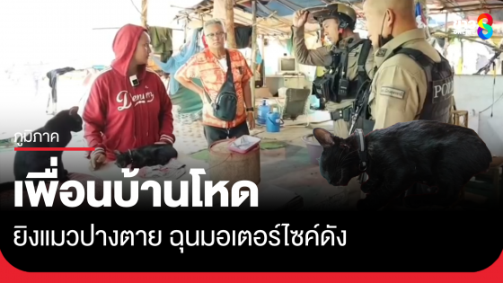 เพื่อนบ้านโหด ยิงแมวปางตาย ฉุนมอเตอร์ไซค์ดัง