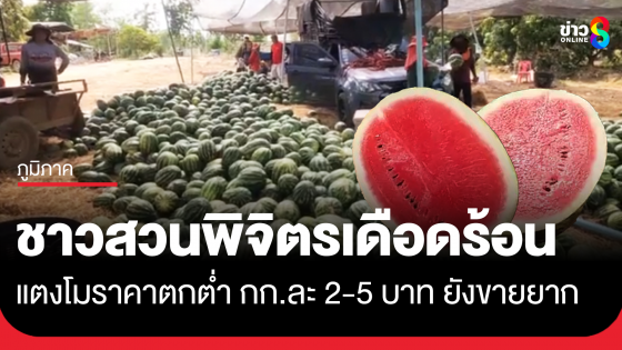 ชาวสวนพิจิตรก็เดือดร้อน แตงโม กก.ละ 2-5 บาท ยังขายยาก