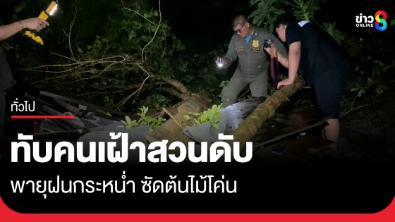 สุดสลด! พายุฝนกระหน่ำ ซัดต้นไม้ล้มทับคนเฝ้าสวนดับ