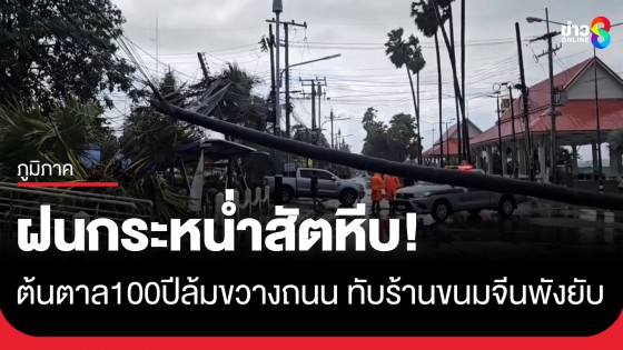 ฝนถล่มสัตหีบ! ต้นตาลอายุ 100 ปีล้มขวางถนน-ทับร้านขนมจีนแม่ค้าหนีรอดหวุดหวิด