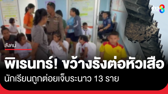 พิเรนทร์ขั้นสุด! ขว้างรังต่อหัวเสือในโรงเรียน นักเรียนถูกต่อยเจ็บระนาว 13 ราย