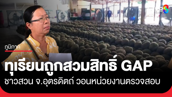 ชาวสวนทุเรียนลับแล จ.อุตรดิตถ์ ร้องถูกสวมสิทธิ์ GAP