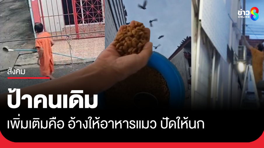 ป้าคนเดิม เพิ่มเติมคือให้อาหารแมว ปัดให้นก