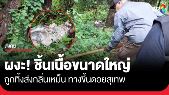 ผวา! พบชิ้นเนื้อขนาดใหญ่ถูกนำมาทิ้งส่งกลิ่นเหม็น ริมทางขึ้นดอยสุเทพ