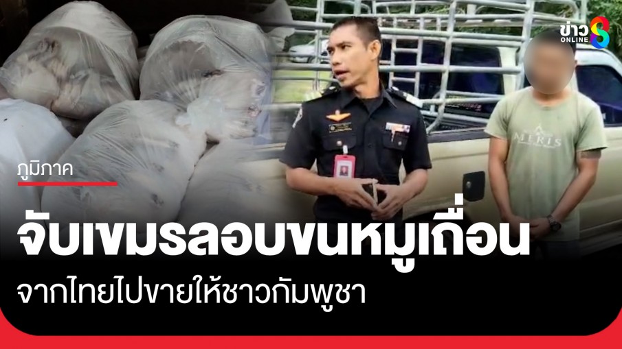 เจ้าหน้าที่ปศุสัตว์ จับเขมรลักลอบขนหมูเถื่อน จากไทยไปขายให้ชาวกัมพูชา