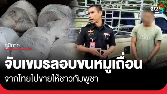 เจ้าหน้าที่ปศุสัตว์ จับเขมรลักลอบขนหมูเถื่อน จากไทยไปขายให้ชาวกัมพูชา