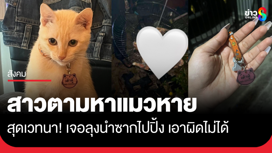 เวทนา! สาวตามหาแมวหลุด เจอลุงเก็บไปปิ้ง เอาผิดไม่ได้
