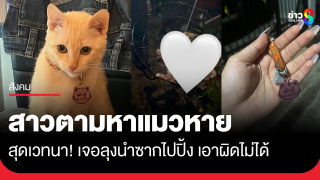 เวทนา! สาวตามหาแมวหลุด เจอลุงเก็บไปปิ้ง เอาผิดไม่ได้