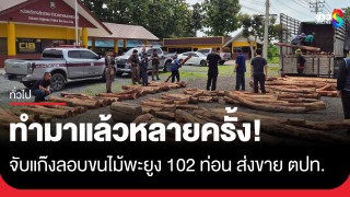 จับแก๊งลอบขนไม้พะยูง 102 ท่อนซุกรถบรรทุกคลุมผ้าใบทึบ...
