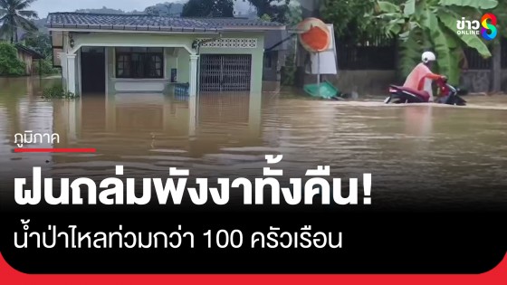 ฝนถล่มพังงาทั้งคืน! น้ำป่าหลากท่วมกว่า 100 ครัวเรือน 4 หมู่บ้านเดือดร้อน 