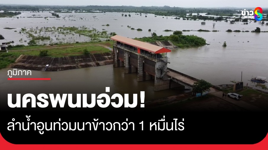นครพนมอ่วม! ลำน้ำอูนเอ่อท่วมนาข้าวกว่า 1 หมื่นไร่ - 7 อำเภอประกาศพื้นที่ภัยพิบัติ
