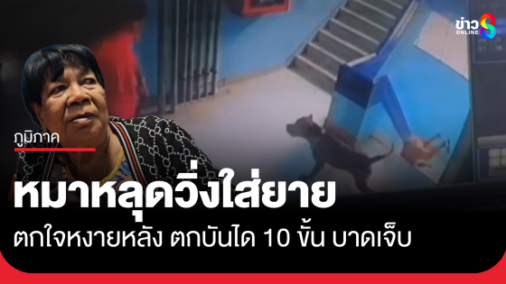 สุนัขวิ่งใส่ยายวัย  ตกใจหงายหลังตกบันได 10 ขั้น เจ็บ 