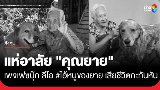 แห่อาลัย "คุณยาย" เพจเฟซบุ๊ก ลีโอ #ไอ้หนูของยาย เสียชีวิตกะทันหัน