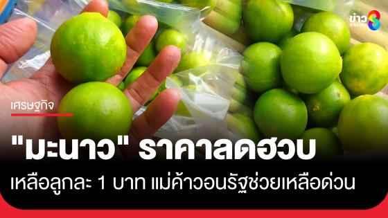 แม่ค้าอุทัยธานีโอด "มะนาว" ราคาดิ่งเหลือลูกละ 1 บาท วอนภาครัฐเร่งหาทางช่วยเหลือด่วน
