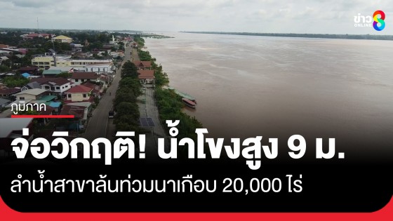 จ่อวิกฤติ! น้ำโขงสูงแตะ 9 เมตร ใกล้จุดล้นตลิ่ง กระทบลำน้ำสาขาล้นท่วมนาเกือบ 20,000 ไร่