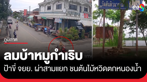 ลมบ้าหมูกำเริบ ป้าขี่ จยย.ผ่าสามแยก ชนต้นไม้