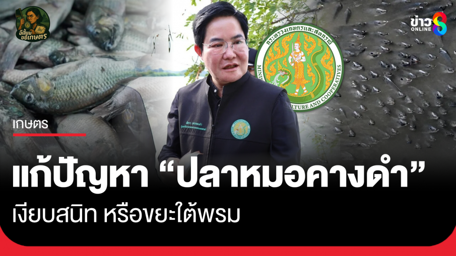 แก้ปัญหา "ปลาหมอคางดำ" เงียบสนิท หรือขยะใต้พรม