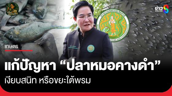 แก้ปัญหา "ปลาหมอคางดำ" เงียบสนิท หรือขยะใต้พรม