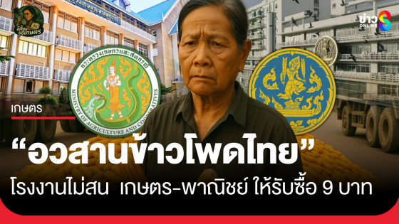 "อวสานข้าวโพดไทย" โรงงานไม่สน เกษตร-พาณิชย์ ให้รับซื้อข้าวโพด 9 บาท 