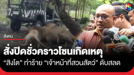 ผู้ดูแลสวนสัตว์ เผย ปิดโซนเกิดเหตุสิงโตทำร้ายเจ้าหน้าที่เป็นการชั่วคราว 
