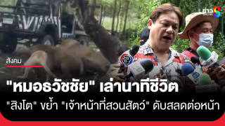 "หมอธวัชชัย" เล่านาทีชีวิต "สิงโต" ขย้ำ "เจ้าหน้าที่"...