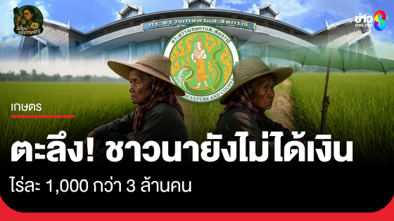 ตะลึง! พบชาวนายังไม่ได้เงิน ไร่ละ 1,000 กว่า 3 ล้านคน