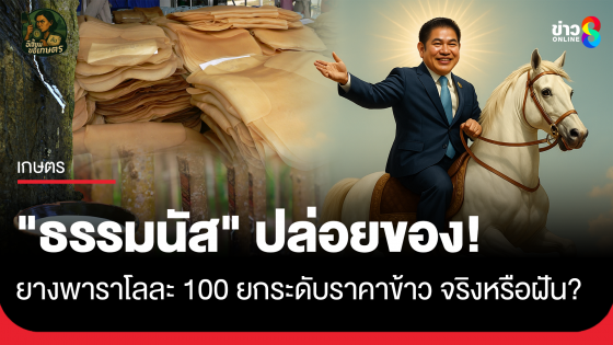 "ธรรมนัส" ปล่อยของ! ยางพาราโลละ 100  และยกระดับราคาข้าว จริงหรือแค่ฝัน?