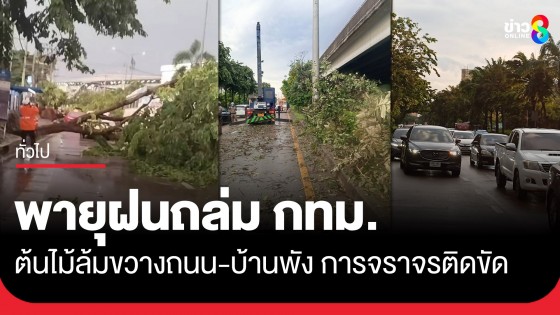 พายุฝนถล่ม กทม. ต้นไม้ล้มขวางถนน-บ้านพัง การจราจรเป็นอัมพาตหลายจุด