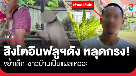 สิงโตอินฟลูฯชื่อดังหลุดกรง! ขย้ำเด็ก-ชาวบ้านเป็นแผลเหวอะ ที่ จ.กาญจนบุรี