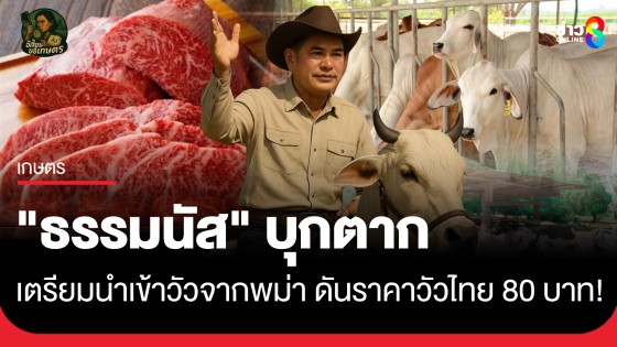 "ธรรมนัส" บุกตาก เตรียมนำเข้าวัวจากพม่า ดันราคาวัวไทย 80 บาท!