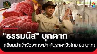 "ธรรมนัส" บุกตาก เตรียมนำเข้าวัวจากพม่า ดันราคาวัวไทย...